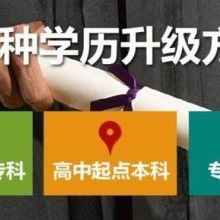 成都市金牌思維教育咨詢有限責任公司 專業(yè)教育咨詢，點亮成長之路
