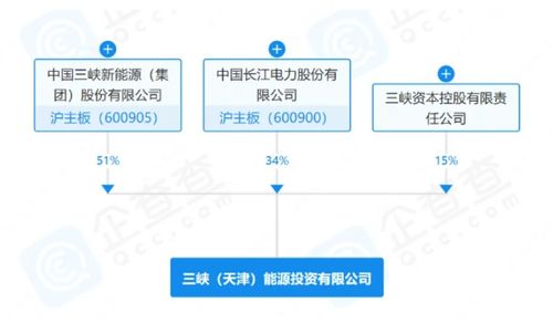 三峽集團深化轉(zhuǎn)型戰(zhàn)略 新公司成立與技術(shù)轉(zhuǎn)讓并舉
